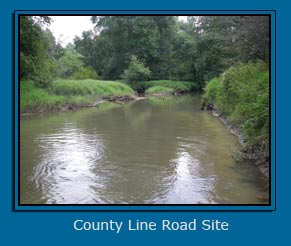 County Line Road Stream