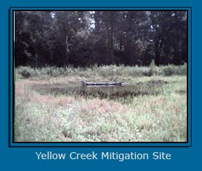 Yellow Creek