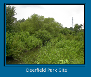 Deerfield Park