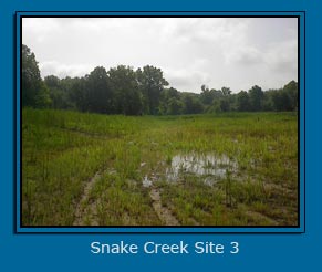 Snake Creek Site 3